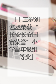 十二岁刘名丞荣获“长安长安国赛荣誉”小学高年级组一等奖