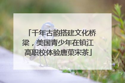 千年古韵搭建文化桥梁，美国青少年在镇江高职校体验唐菓宋茶