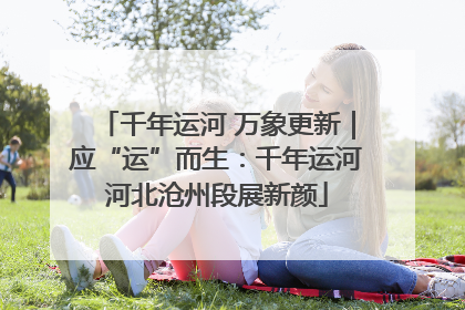 千年运河 万象更新｜应“运”而生：千年运河河北沧州段展新颜