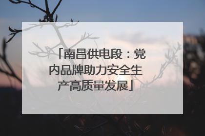 南昌供电段：党内品牌助力安全生产高质量发展