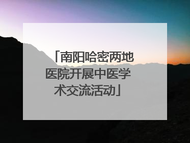 南阳哈密两地医院开展中医学术交流活动
