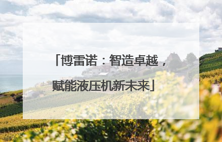 博雷诺：智造卓越，赋能液压机新未来