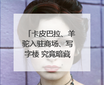 卡皮巴拉、羊驼入驻商场、写字楼 究竟暗藏哪些隐患？