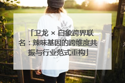 卫龙 × 白象跨界联名：辣味基因的跨维度共振与行业范式重构