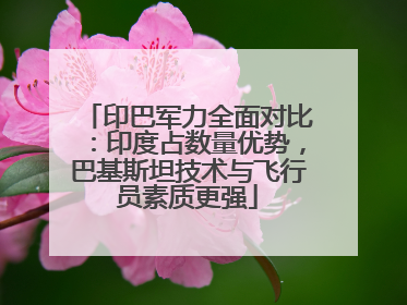 印巴军力全面对比：印度占数量优势，巴基斯坦技术与飞行员素质更强