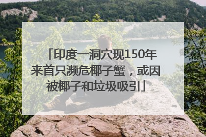 印度一洞穴现150年来首只濒危椰子蟹，或因被椰子和垃圾吸引