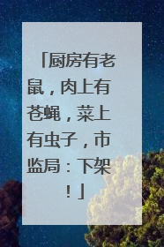 厨房有老鼠，肉上有苍蝇，菜上有虫子，市监局：下架！