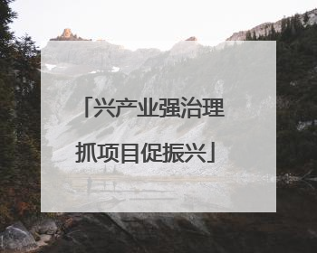 兴产业强治理 抓项目促振兴