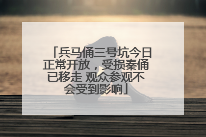 兵马俑三号坑今日正常开放，受损秦俑已移走 观众参观不会受到影响