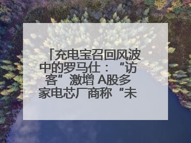 充电宝召回风波中的罗马仕：“访客”激增 A股多家电芯厂商称“未供货”