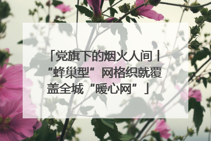 党旗下的烟火人间丨“蜂巢型”网格织就覆盖全城“暖心网”