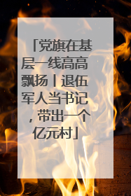 党旗在基层一线高高飘扬丨退伍军人当书记，带出一个亿元村