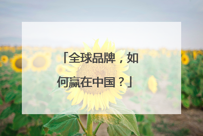 全球品牌，如何赢在中国？