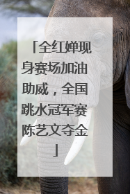 全红婵现身赛场加油助威，全国跳水冠军赛陈艺文夺金