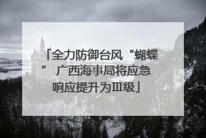 全力防御台风“蝴蝶” 广西海事局将应急响应提升为Ⅲ级