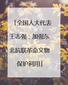 全国人大代表王志强：加强东北抗联革命文物保护利用