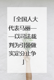 全国人大代表马丽——以司法裁判为引领做实定分止争