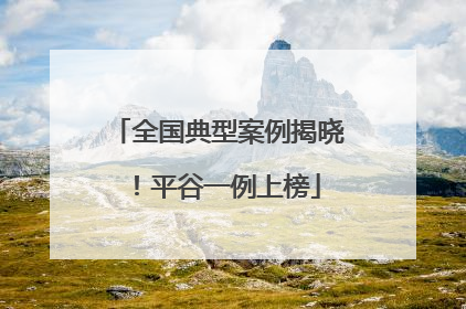 全国典型案例揭晓!平谷一例上榜