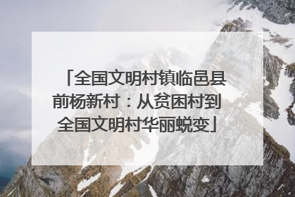 全国文明村镇临邑县前杨新村：从贫困村到全国文明村华丽蜕变
