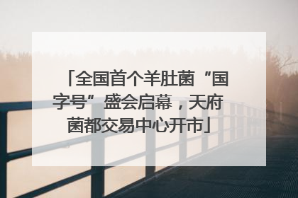 全国首个羊肚菌“国字号”盛会启幕，天府菌都交易中心开市