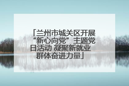 兰州市城关区开展“新心向党”主题党日活动 凝聚新就业群体奋进力量