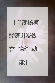 兰溪杨梅经济迸发致富“新”动能