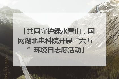 共同守护绿水青山，国网湖北电科院开展“六五”环境日志愿活动