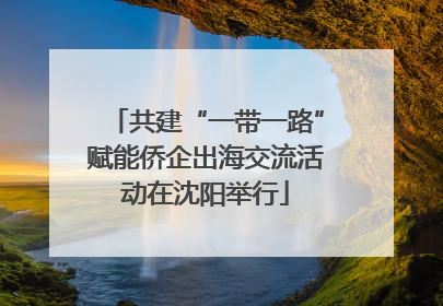 共建“一带一路”赋能侨企出海交流活动在沈阳举行