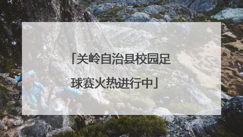 关岭自治县校园足球赛火热进行中