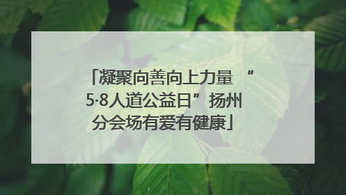 凝聚向善向上力量 “5·8人道公益日”扬州分会场有爱有健康