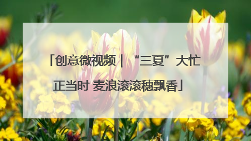 创意微视频｜“三夏”大忙正当时 麦浪滚滚穗飘香