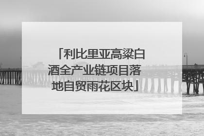 利比里亚高粱白酒全产业链项目落地自贸雨花区块