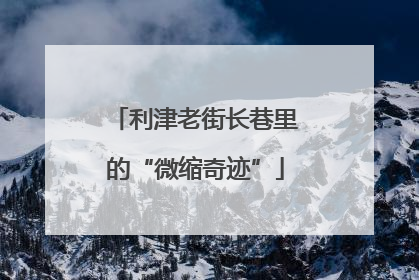 利津老街长巷里的“微缩奇迹”