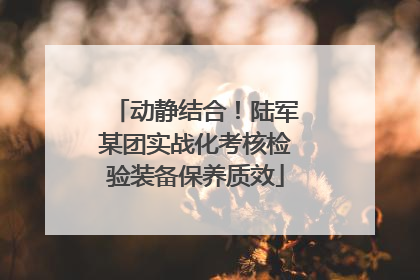 动静结合！陆军某团实战化考核检验装备保养质效