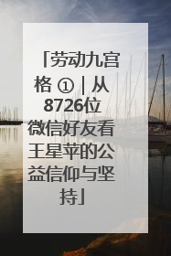 劳动九宫格 ①｜从8726位微信好友看王星苹的公益信仰与坚持