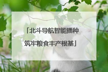 北斗导航智能播种 筑牢粮食丰产根基