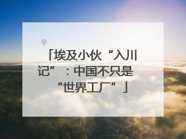 埃及小伙“入川记”：中国不只是“世界工厂”