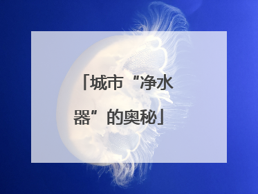 城市“净水器”的奥秘