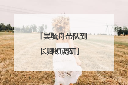 吴毓舟带队到长卿镇调研