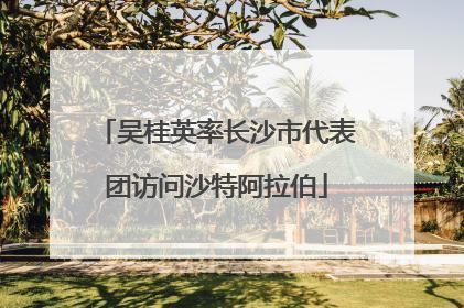 吴桂英率长沙市代表团访问沙特阿拉伯
