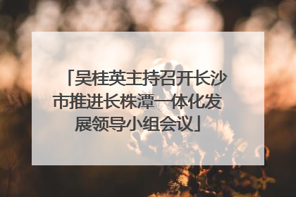 吴桂英主持召开长沙市推进长株潭一体化发展领导小组会议