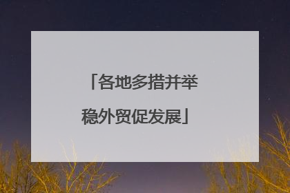 各地多措并举稳外贸促发展