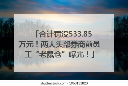 合计罚没533.85万元！两大头部券商前员工“老鼠仓”曝光！