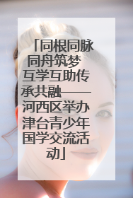 同根同脉同舟筑梦 互学互助传承共融——河西区举办津台青少年国学交流活动