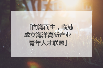 向海而生，临港成立海洋高新产业青年人才联盟