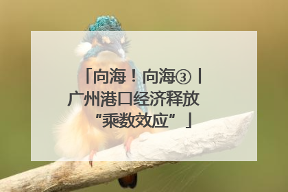 向海！向海③丨广州港口经济释放“乘数效应”