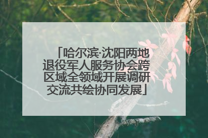 哈尔滨·沈阳两地退役军人服务协会跨区域全领域开展调研交流共绘协同发展