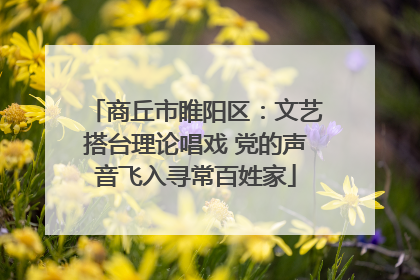 商丘市睢阳区：文艺搭台理论唱戏 党的声音飞入寻常百姓家