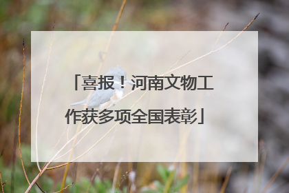 喜报！河南文物工作获多项全国表彰