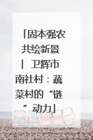 固本强农 共绘新景 ︳卫辉市南社村：蔬菜村的“链”动力